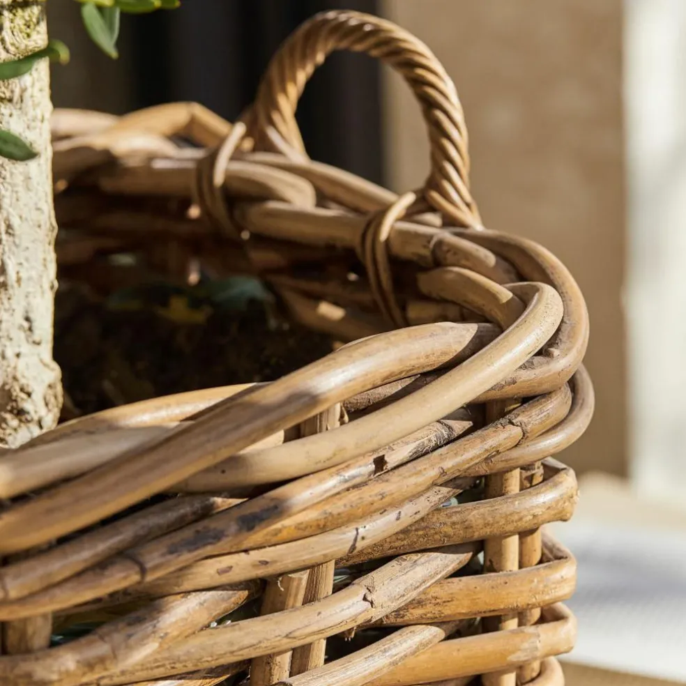 Lot de 3 paniers Chalet