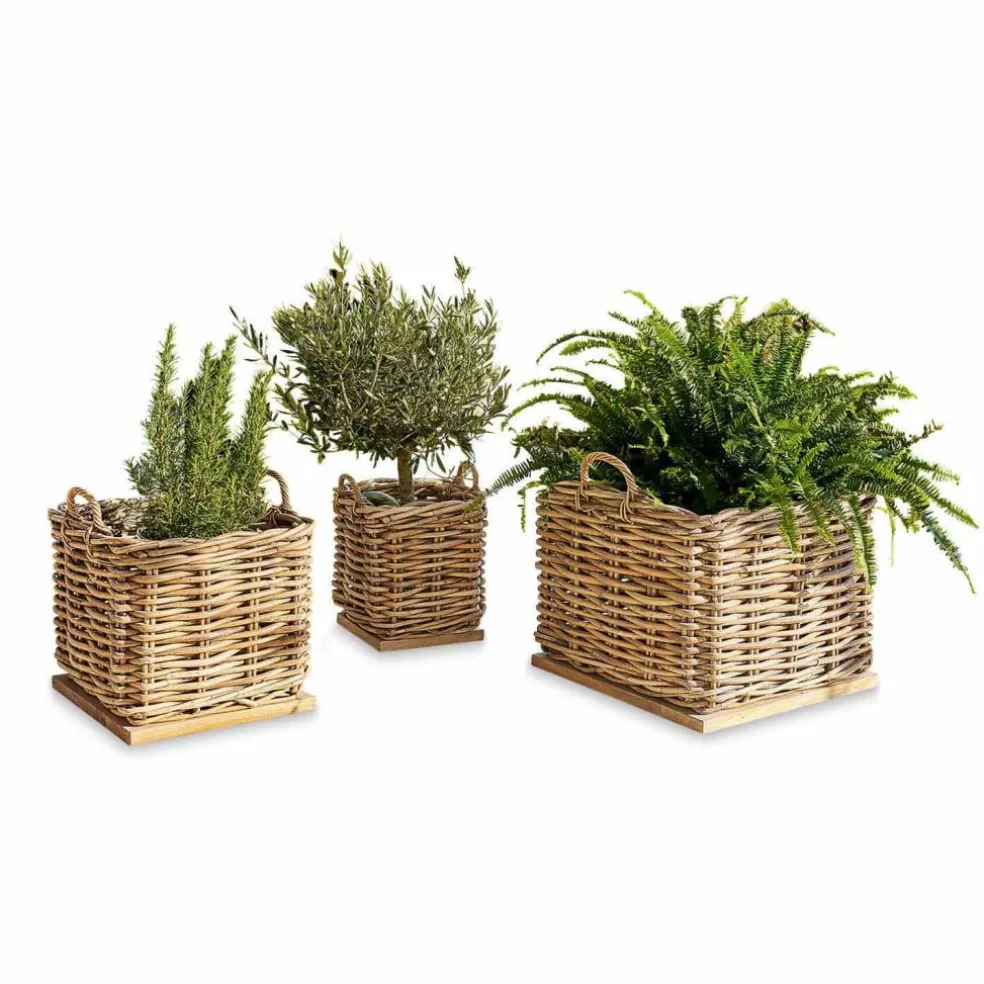 Lot de 3 paniers Chalet