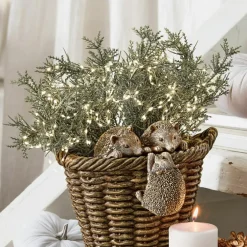 Lot de 3 plantes décoratives Emmet