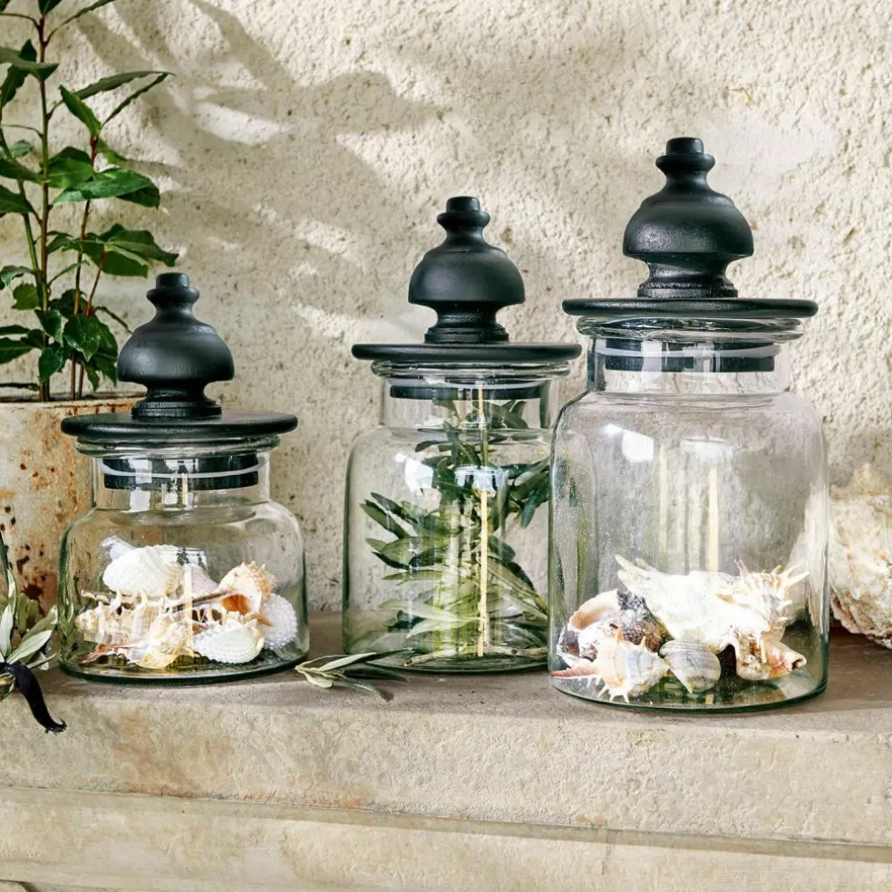 Lot de 3 pots Hakeen