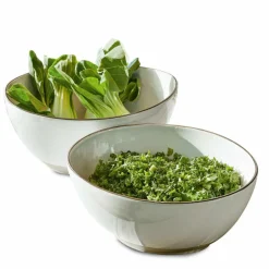 Lot de 2 saladiers Biarré