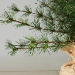 Lot de 2 sapins décoratifs Bohicon