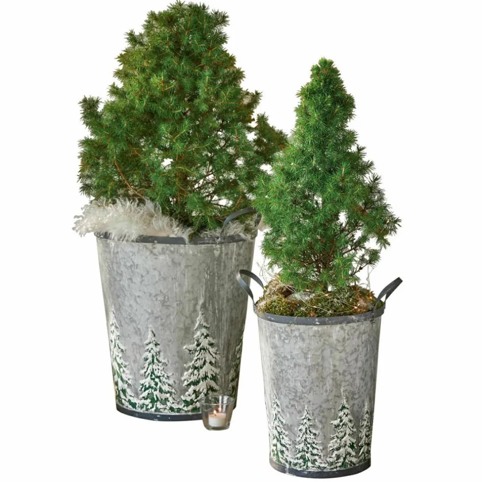 Lot de 2 seaux Pavie