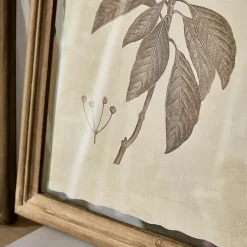 Lot de 2 tableaux Guyra