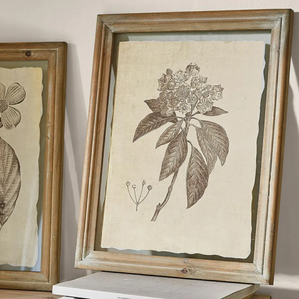 Lot de 2 tableaux Guyra