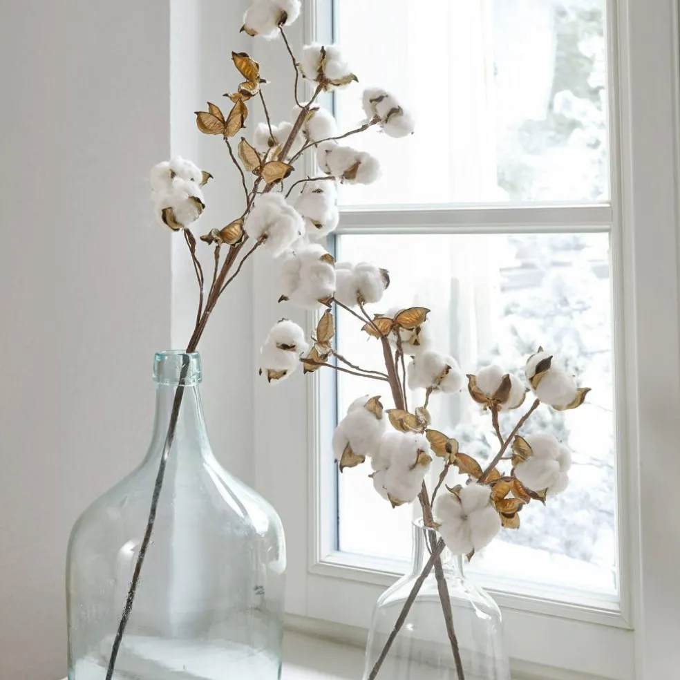 Lot de 3 tiges Sauves