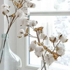 Lot de 3 tiges Sauves