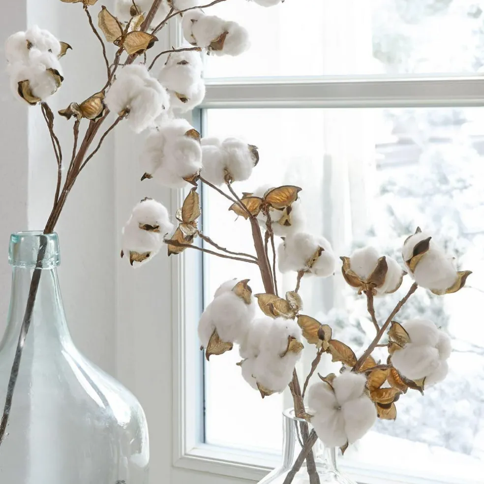 Lot de 3 tiges Sauves