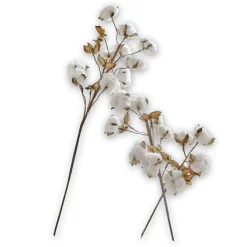 Lot de 3 tiges Sauves