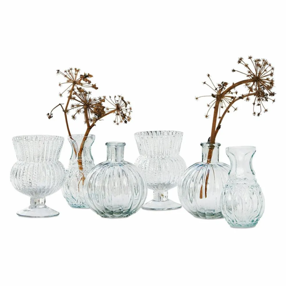 Lot de 6 vases Amber
