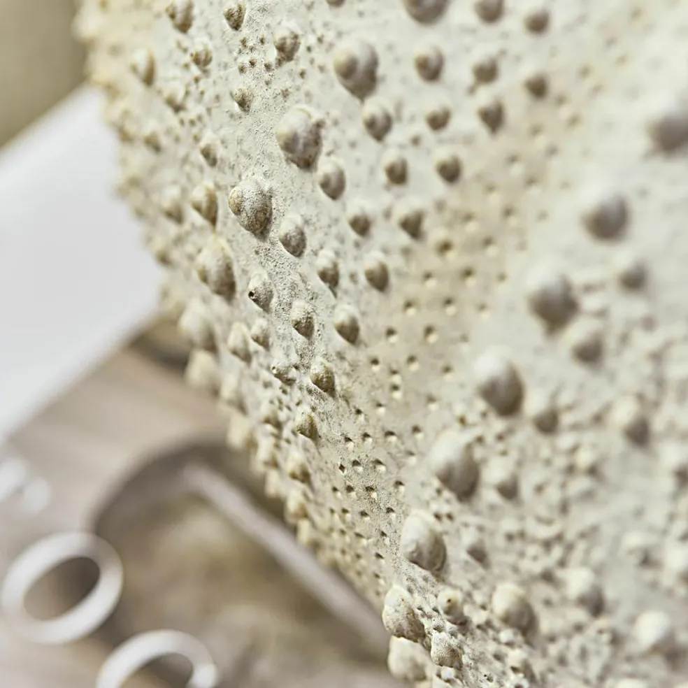 Lot de deux oursins décoratifs Kimbar