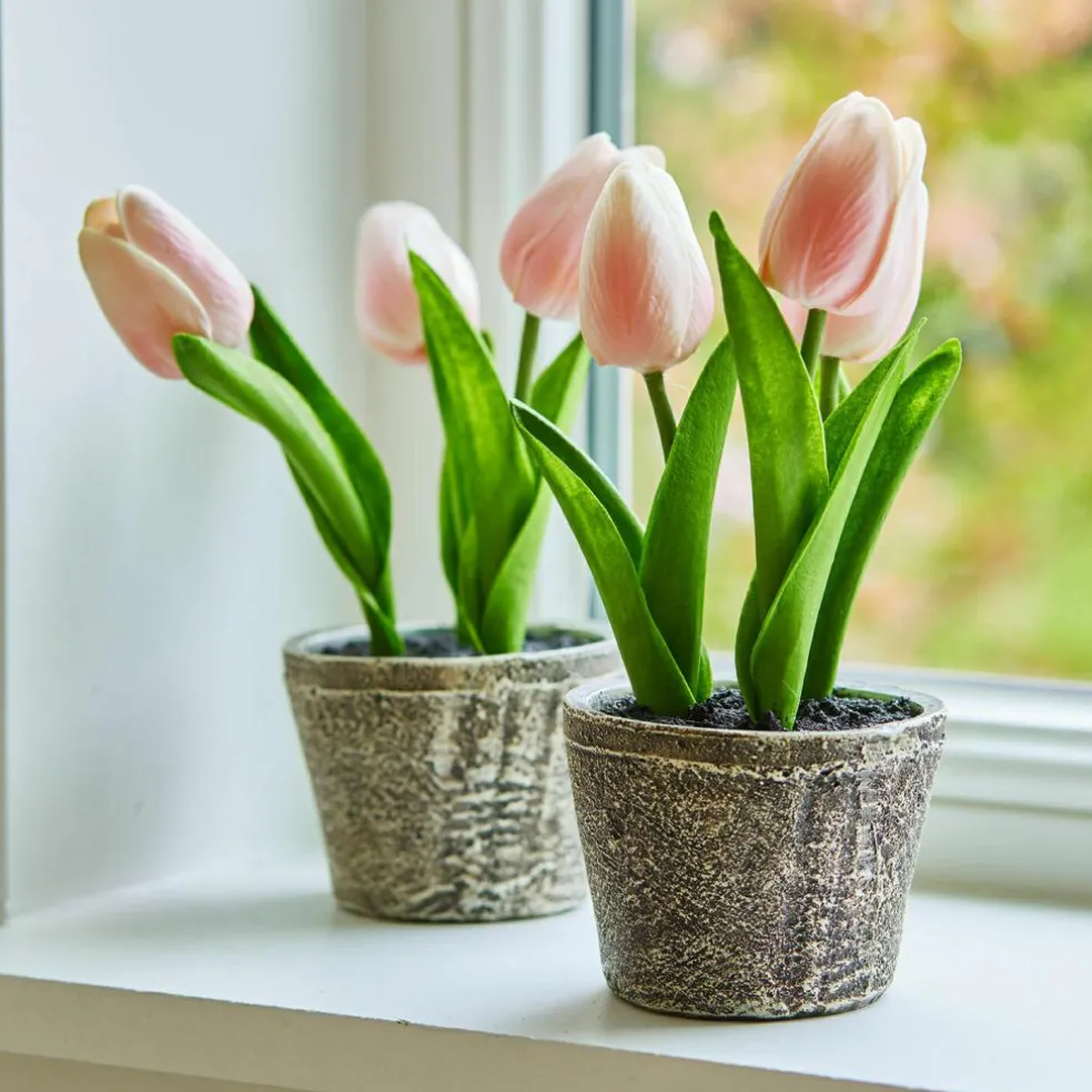 Lot de deux pots de tulipes décoratives Zéphine