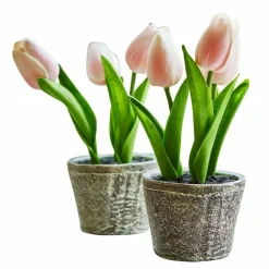 Lot de deux pots de tulipes décoratives Zéphine