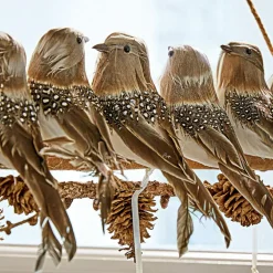 Oiseaux perchés Orely