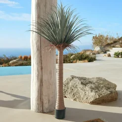 Palmier décoratif Remivon
