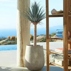 Palmier décoratif Remivon