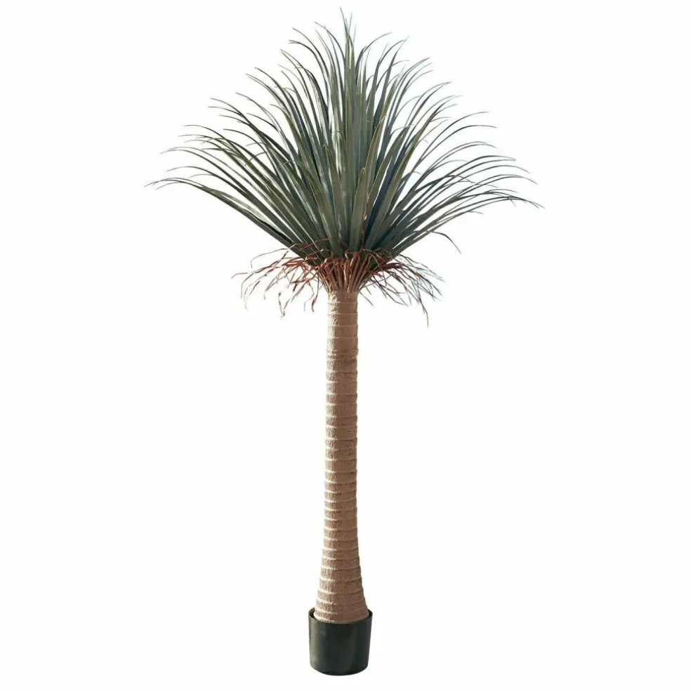 Palmier décoratif Remivon