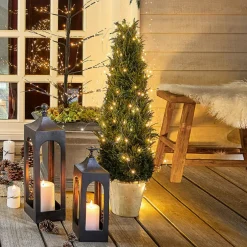 Plante décorative en pot Arras