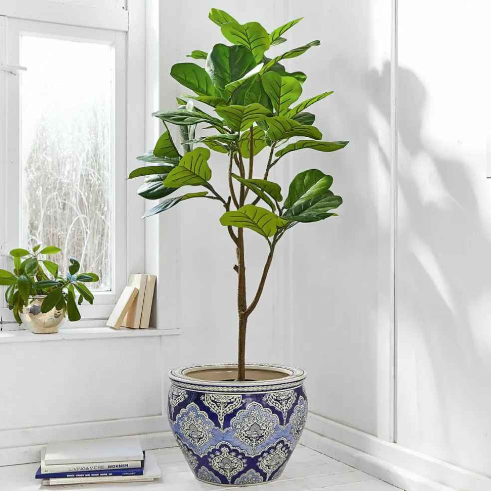 Plante décorative en pot Evolet