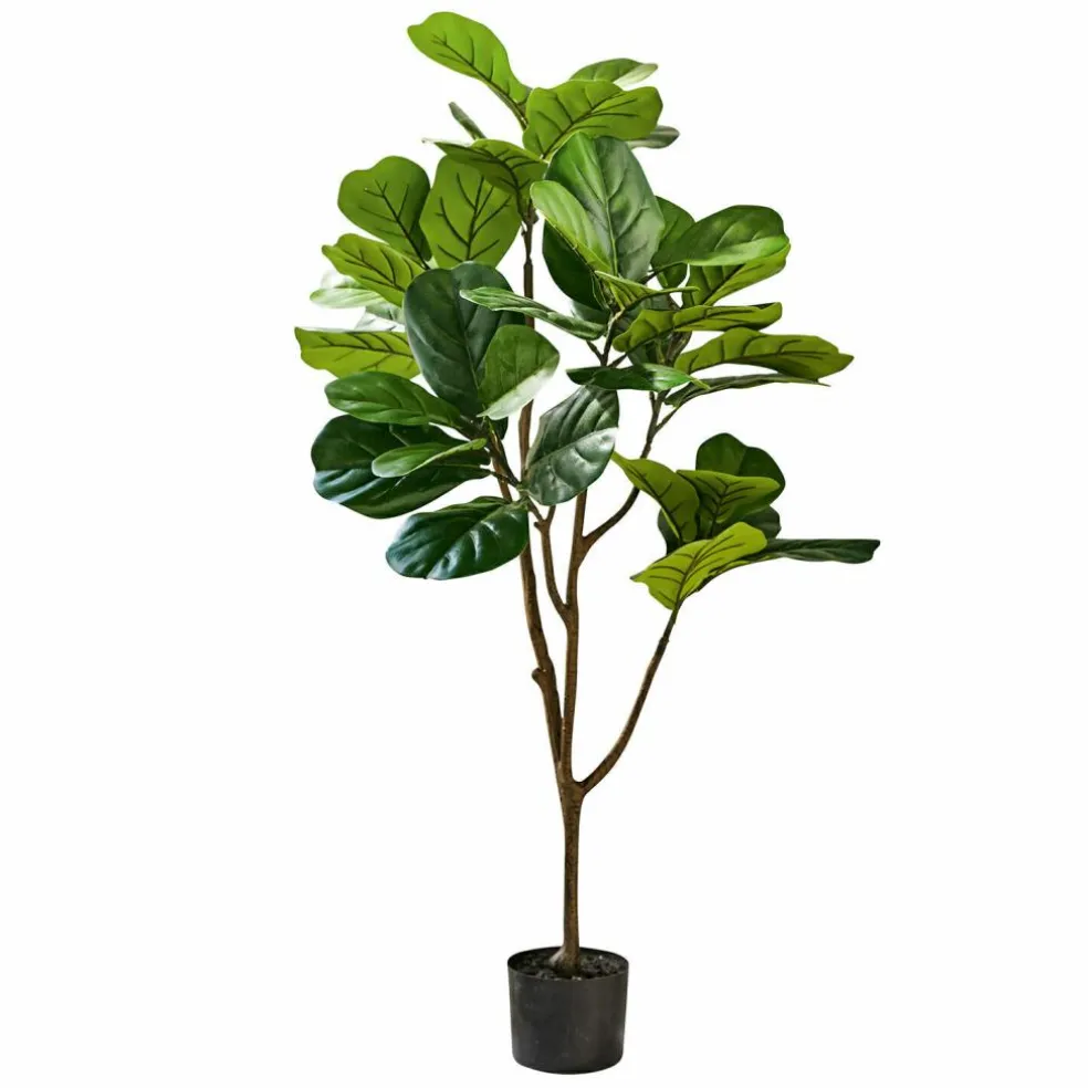 Plante décorative en pot Evolet