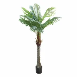 Plante décorative en pot Zephyriel