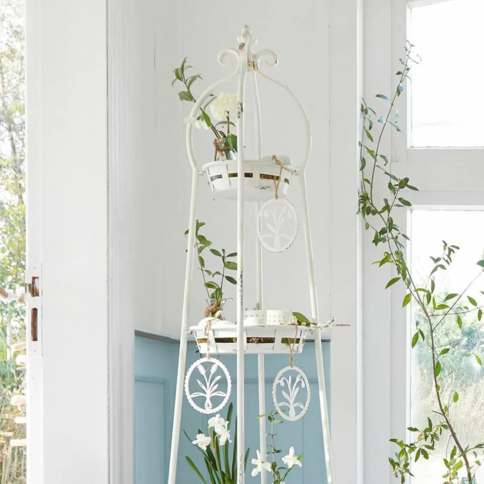 Présentoir à étages Ipas