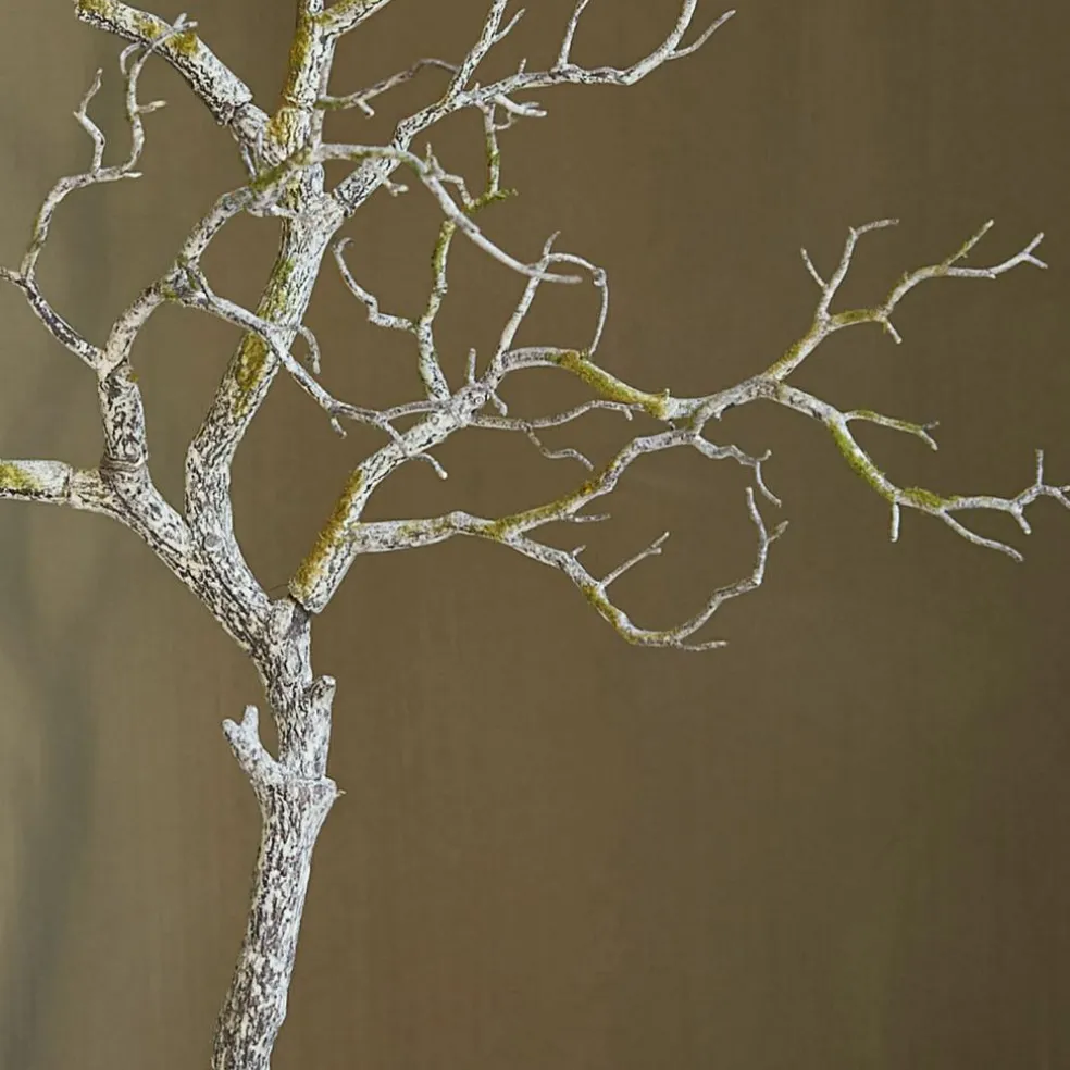 Rameau décoratif Orélie