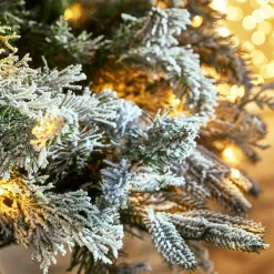 Sapin de Noël Cadelise