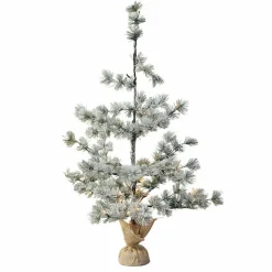 Sapin de Noël Falkirk