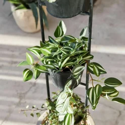 Support pour plantes Châtonnaye