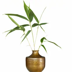 Vase Saamira